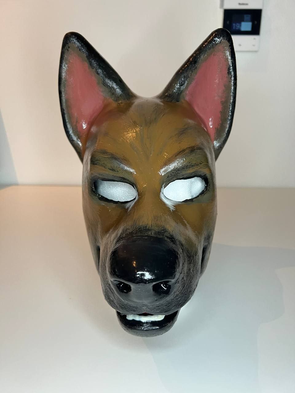 Dog 1 Bild 4